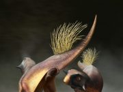 All purpose dinosaur opening reconstructed for first time
