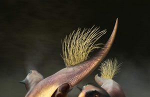 All purpose dinosaur opening reconstructed for first time