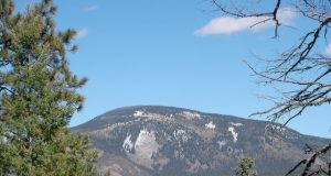 Ancient indigenous New Mexican community knew how to sustainably coexist with wildfire