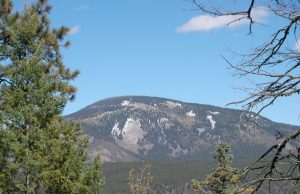 Ancient indigenous New Mexican community knew how to sustainably coexist with wildfire