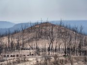 Australias Black Summer a climate wake up call