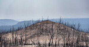 Australias Black Summer a climate wake up call