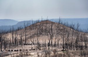Australia’s Black Summer a climate wake-up call Australias Black Summer a climate wake up call