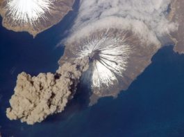 Climate and carbon cycle trends of the past 50 million years reconciled