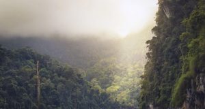 Climate change will alter the position of the Earths tropical rain belt