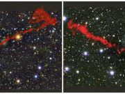 Cosmic beasts and where to find them