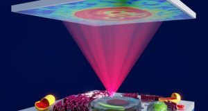 Discovery makes the invisible visible