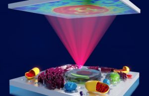 Discovery makes the invisible visible
