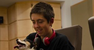 Dogs synchronize their behavior with children but not as much as with adults study finds