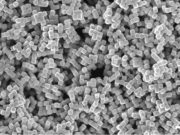 Engineers reactor converts gas directly into acetic acid