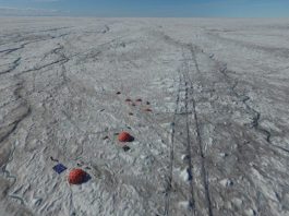 Microbes fuelled by wind blown mineral dust melt the Greenland ice sheet