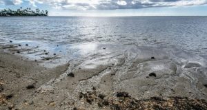 New analysis highlights importance of groundwater discharge into oceans