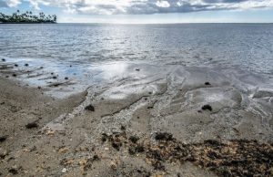 New analysis highlights importance of groundwater discharge into oceans