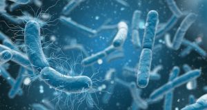 New class of antibiotics active against a wide range of bacteria