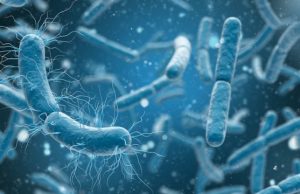 New class of antibiotics active against a wide range of bacteria