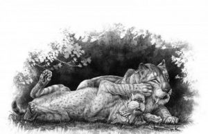 New discovery sheds light on the mysterious family life of notorious sabre toothed tiger