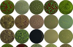 New research demonstrates how the best camouflage can be found for an arbitrary environment
