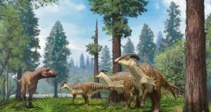 New skull of tube crested dinosaur reveals evolution of bizarre crest 1