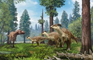 New skull of tube crested dinosaur reveals evolution of bizarre crest 1