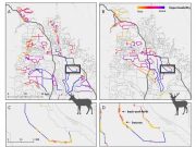 New study reveals how fences hinder migratory wildlife in the West
