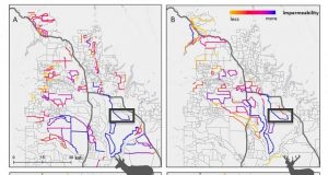 New study reveals how fences hinder migratory wildlife in the West