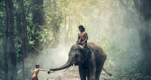 New study ties Indias genetic diversity to language not geography