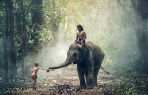 New study ties Indias genetic diversity to language not geography