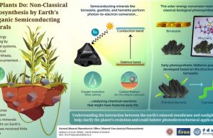 Non classical photosynthesis by earths inorganic semiconducting minerals