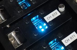 Novel approach shows promise for overcoming the bottleneck of blue emission in displays using OLEDs