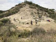 Oldest hominins of Olduvai Gorge persisted across changing environments