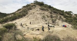 Oldest hominins of Olduvai Gorge persisted across changing environments