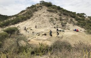 Oldest hominins of Olduvai Gorge persisted across changing environments Oldest hominins of Olduvai Gorge persisted across changing environments