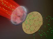 Physicists succeed in filming phase transition with extremely high spatial and temporal resolution