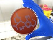 Research establishes antibiotic potential for cannabis molecule