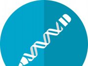 Researchers build artificial chromosome