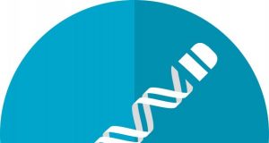 Researchers build artificial chromosome