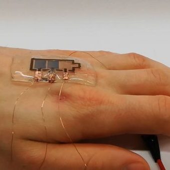 Researchers develop biodegradable printed display