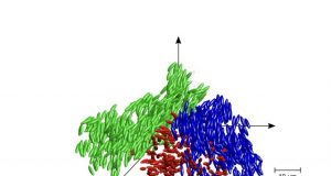 Researchers report new state of matter described as liquid glass