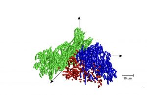 Researchers report new state of matter described as liquid glass