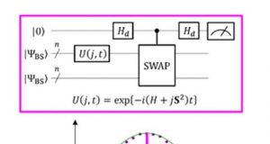 Rethinking spin chemistry from a quantum perspective