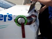 Scientists develop a cheaper method that might help create fuels from plants