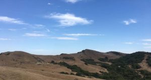 Soil moisture exerts a negative feedback on surface water availability in drylands