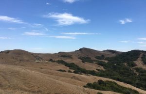 Soil moisture exerts a negative feedback on surface water availability in drylands