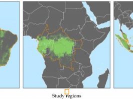 Subscriptions to satellite alerts linked to decreased deforestation in Africa
