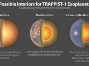 The seven rocky planets of TRAPPIST 1 seem to have very similar compositions