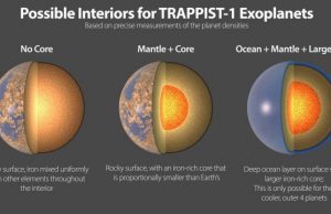 The seven rocky planets of TRAPPIST 1 seem to have very similar compositions