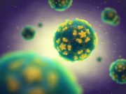 Unravelling the mystery that makes viruses infectious
