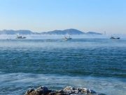 Upper ocean temperatures hit record high in 2020