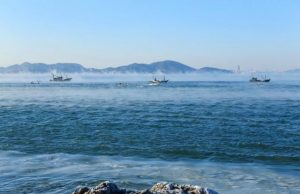 Upper ocean temperatures hit record high in 2020 Upper ocean temperatures hit record high in 2020