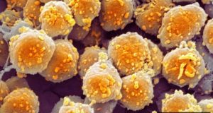 Using 100 million year old fossils and gravitational wave science to predict Earths future climate